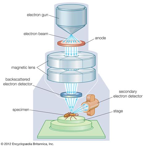 Electron Microscopy Techniques, Strengths, .